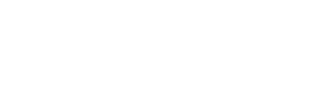 Bluesoft Logo